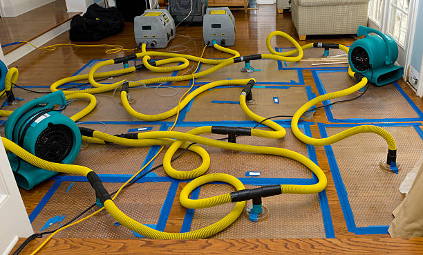 Professional Sewage Cleanup technician working in Meridian, TX